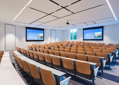 audio-visual-integration